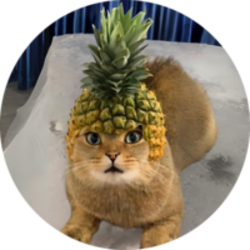 pineapple-cat-pcat