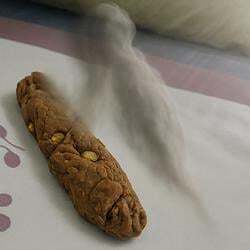 Poop aura (POOP)