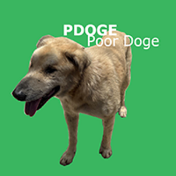 Poor Doge (PDOGE)