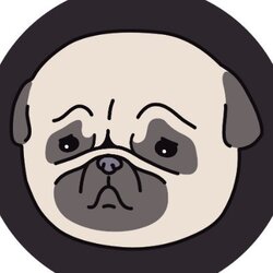 PUGGY Coin (PUGGY)