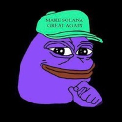 purple-pepe-purpe