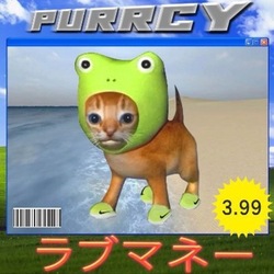 Purrcy (PURRCY)