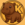 Pygmy Hippo (KOBUSHI)