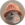 ratwifhat-ratwif