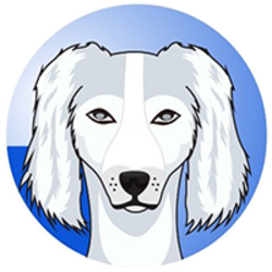 SALUKI (SALUKI)