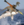 Shark raptor rocket launcher (SRRL)