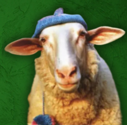Sheep Wif Hat (SWIF)