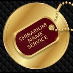 shibarium-name-service-sns