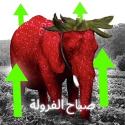 strawberry-elephant-صباح الفر