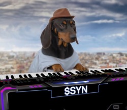 Syn Dog (SYN)