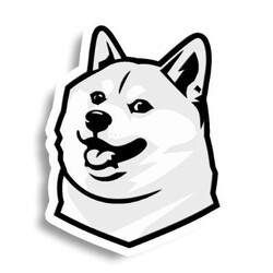 USD1DOGE (USD1DOGE)