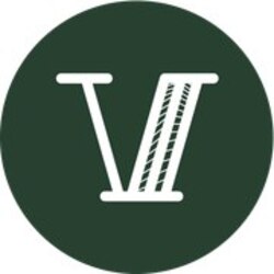 virtual-usd-vusd