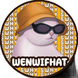 wenwifhat-why