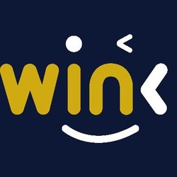 WINkLink BSC (WIN)