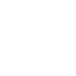 WPAY (WPAY)