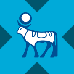 Wrapped Novo Nordisk xStock (WNVOX)