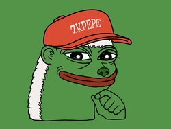 ZKPEPE (ZKPEPE)