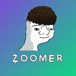 zoomer-zoomer